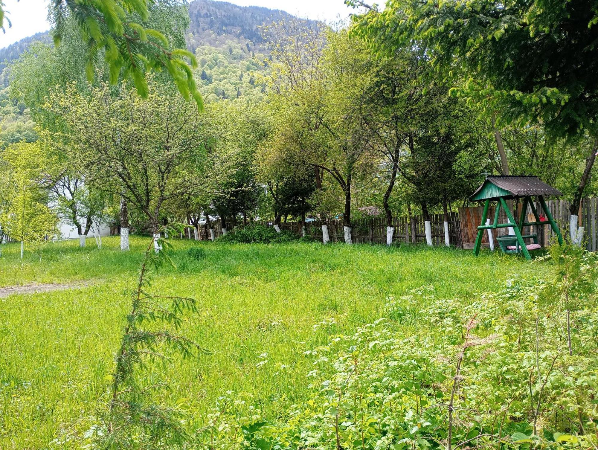 Pensiunea Irina 1 Si 2 Zarnesti Exterior foto