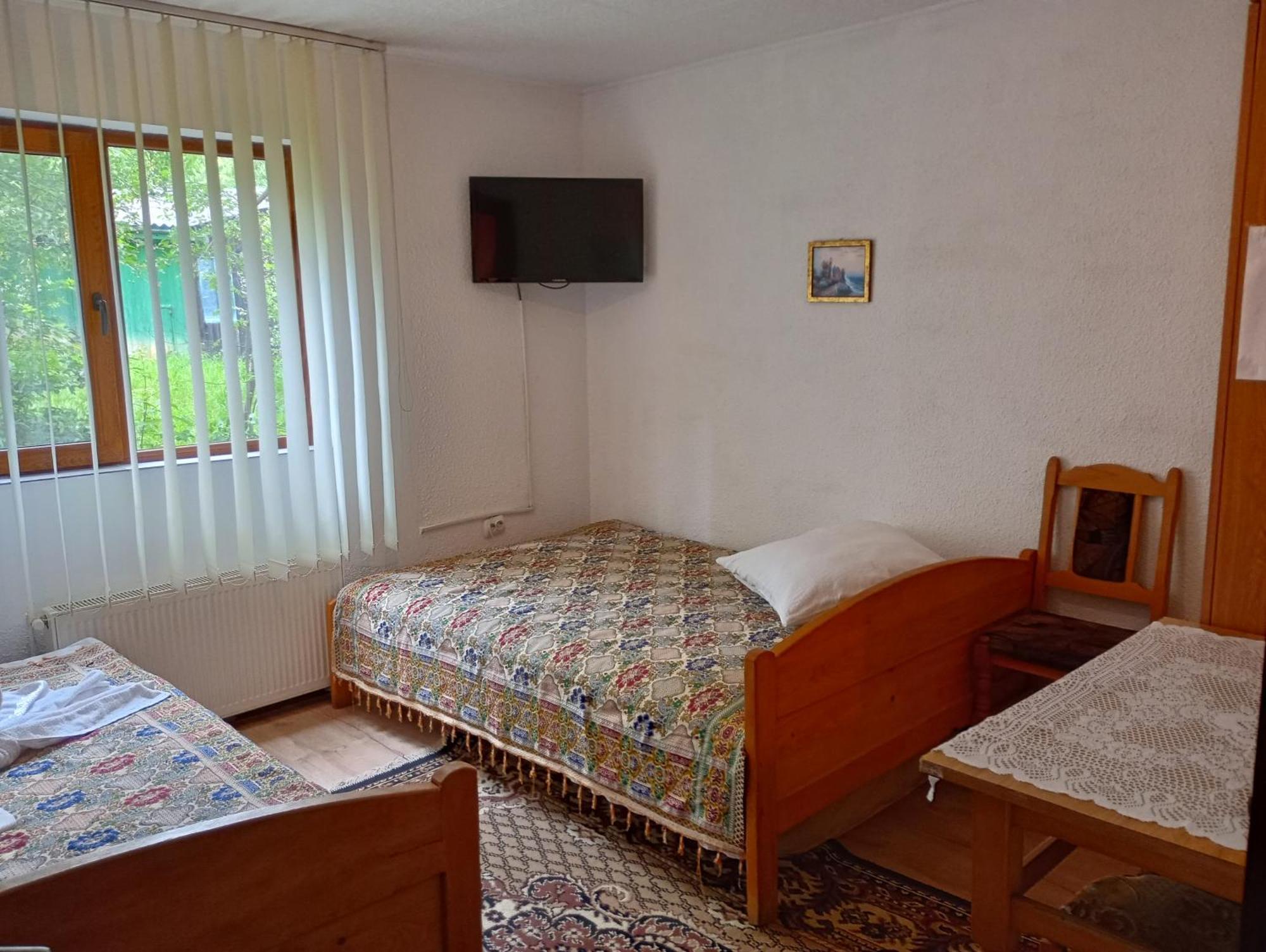 Pensiunea Irina 1 Si 2 Zarnesti Exterior foto