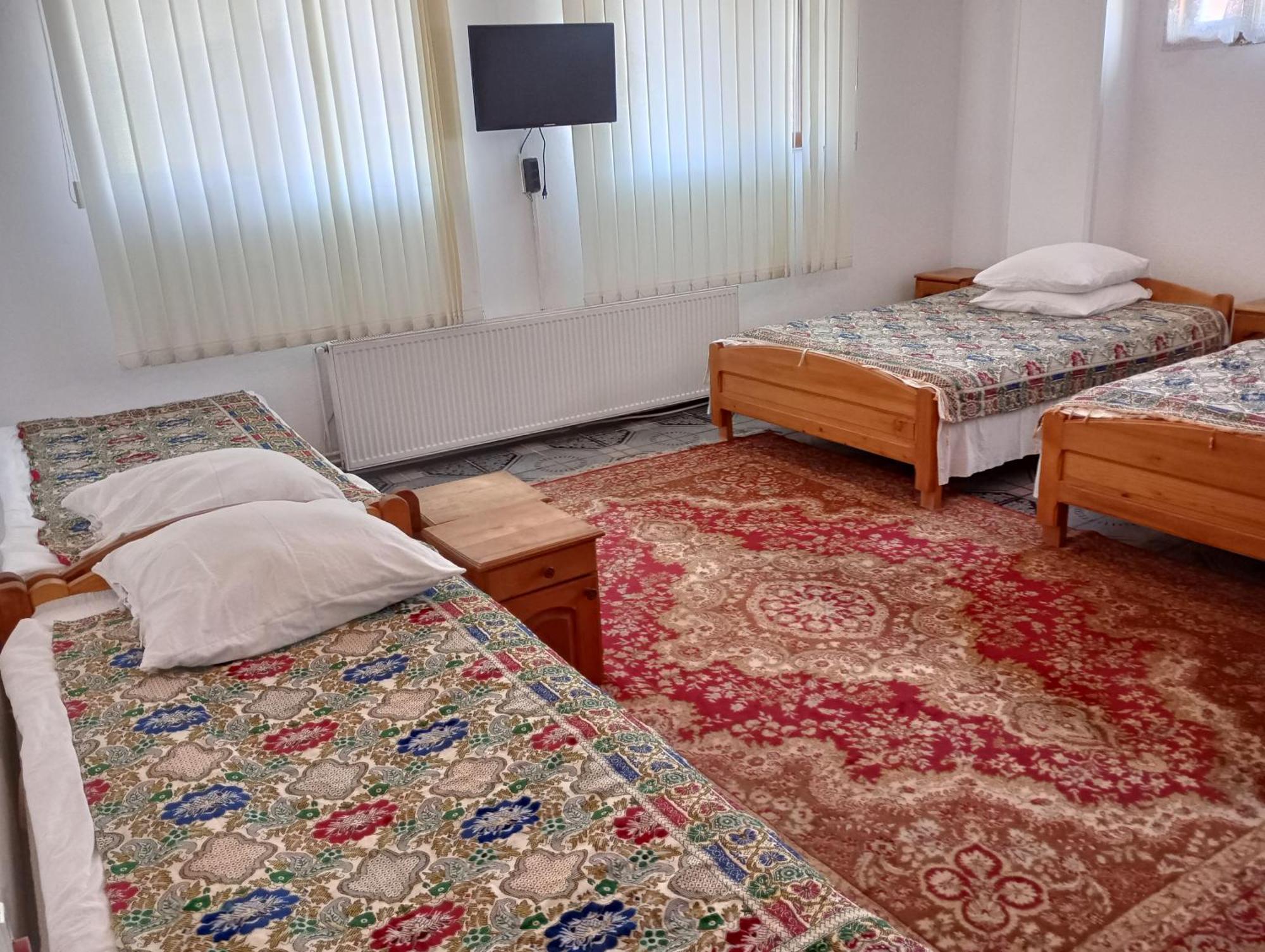 Pensiunea Irina 1 Si 2 Zarnesti Exterior foto