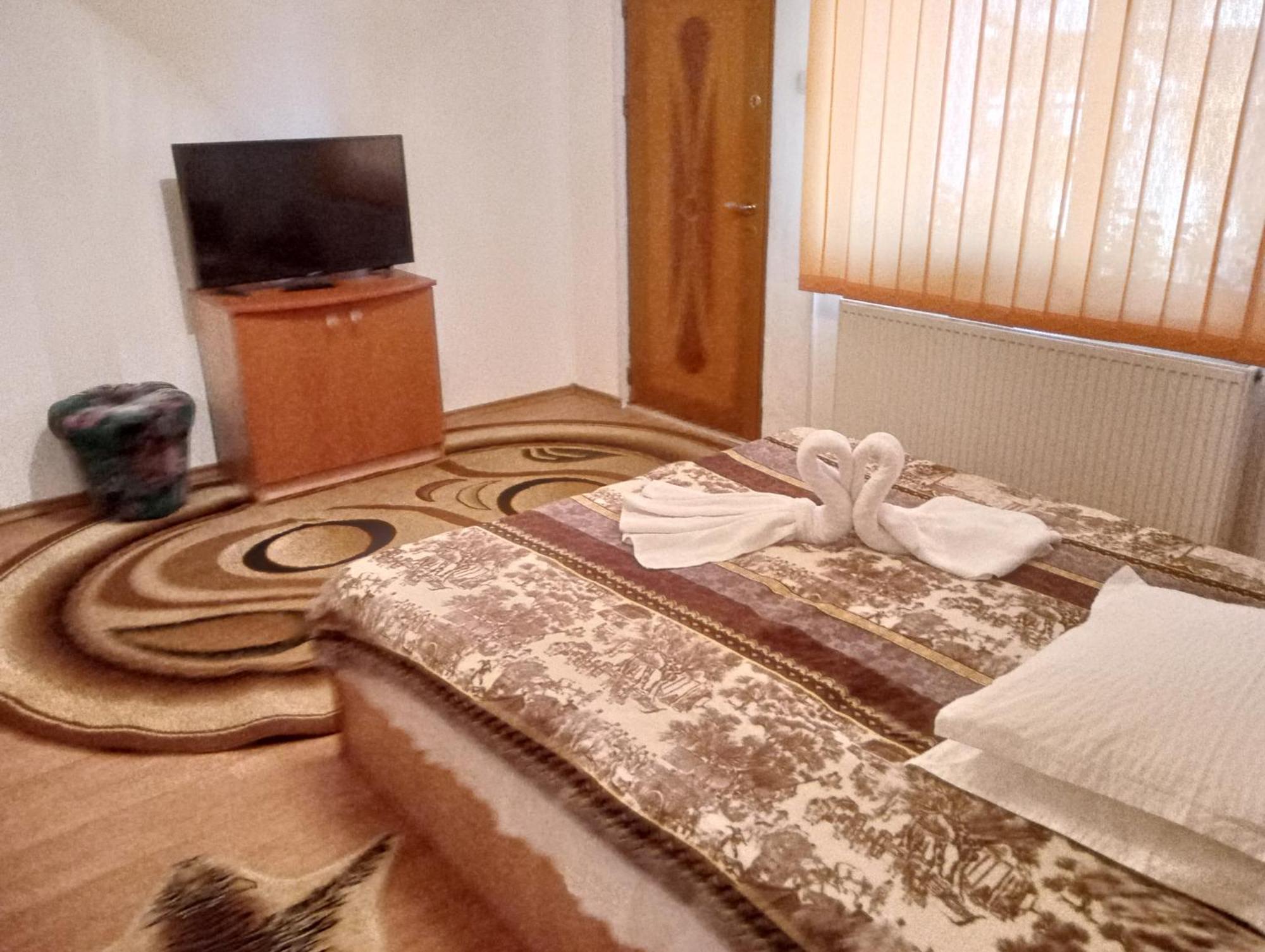 Pensiunea Irina 1 Si 2 Zarnesti Exterior foto