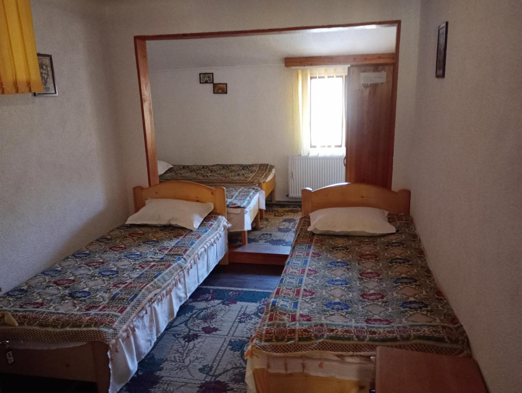 Pensiunea Irina 1 Si 2 Zarnesti Exterior foto