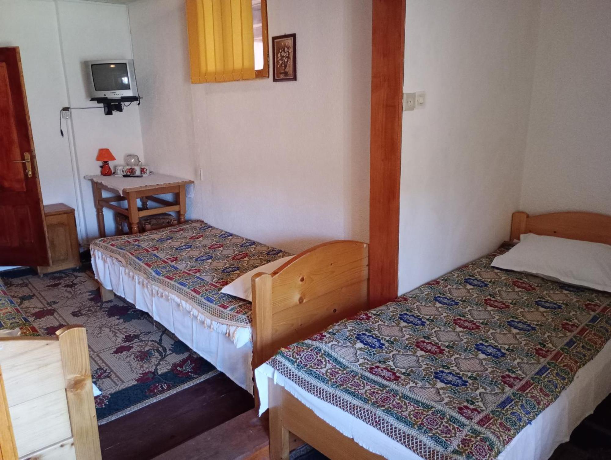 Pensiunea Irina 1 Si 2 Zarnesti Exterior foto