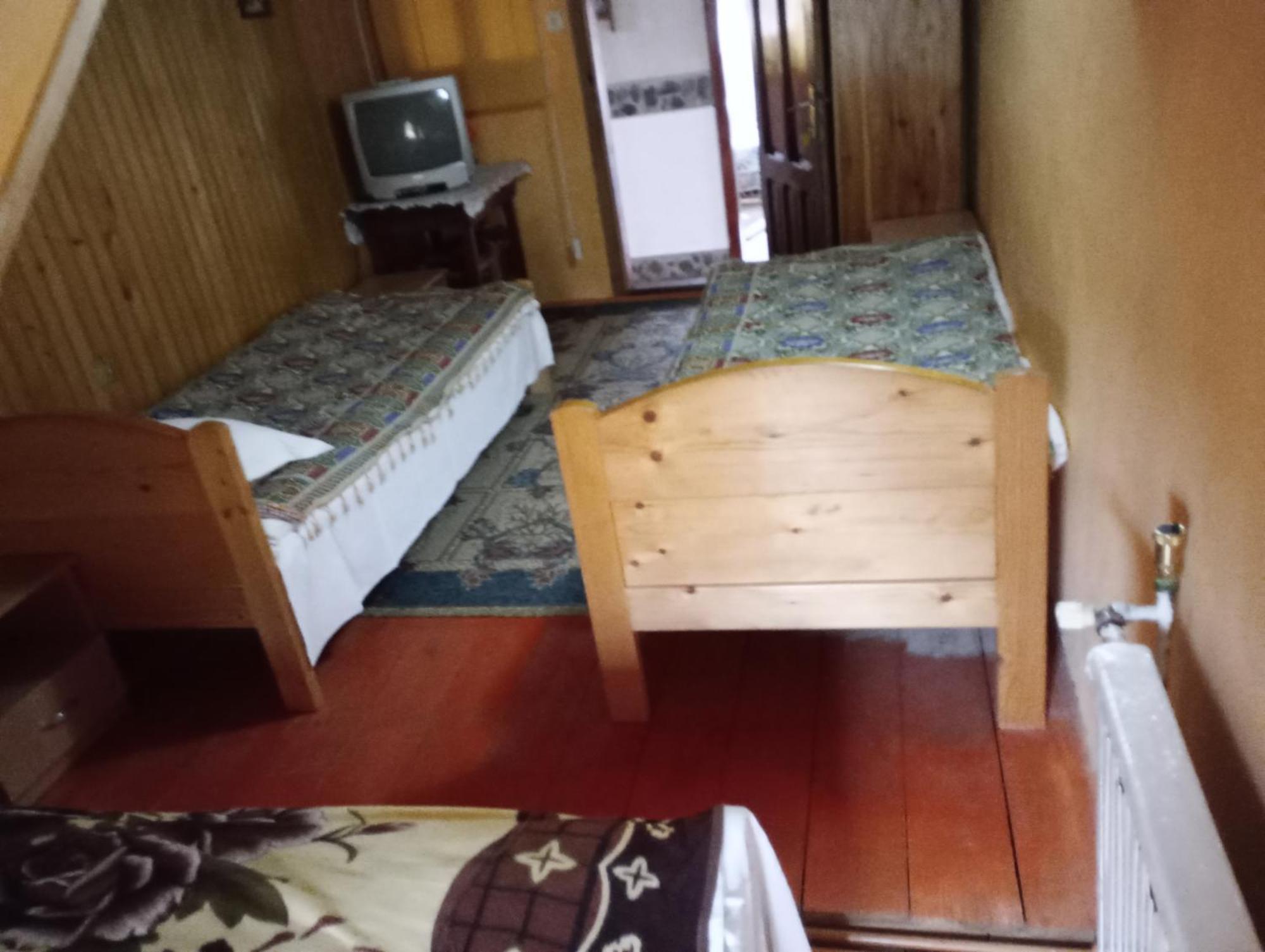 Pensiunea Irina 1 Si 2 Zarnesti Exterior foto