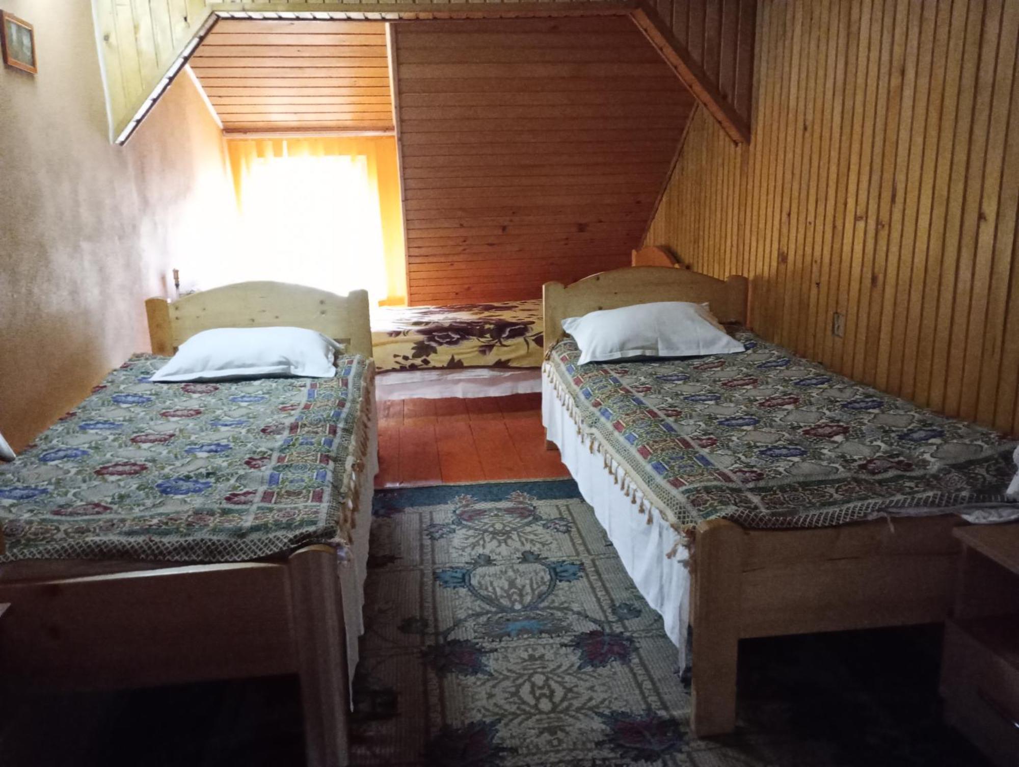 Pensiunea Irina 1 Si 2 Zarnesti Exterior foto
