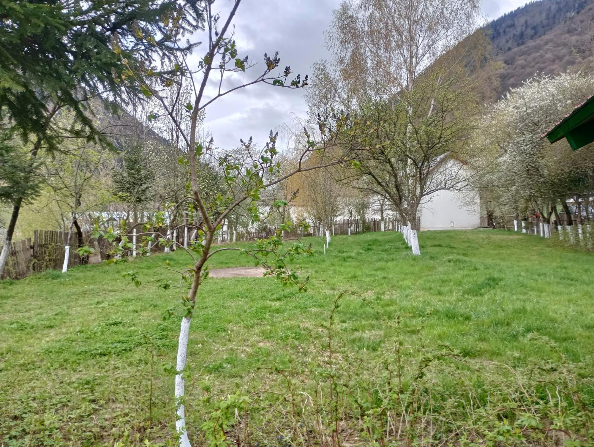 Pensiunea Irina 1 Si 2 Zarnesti Exterior foto