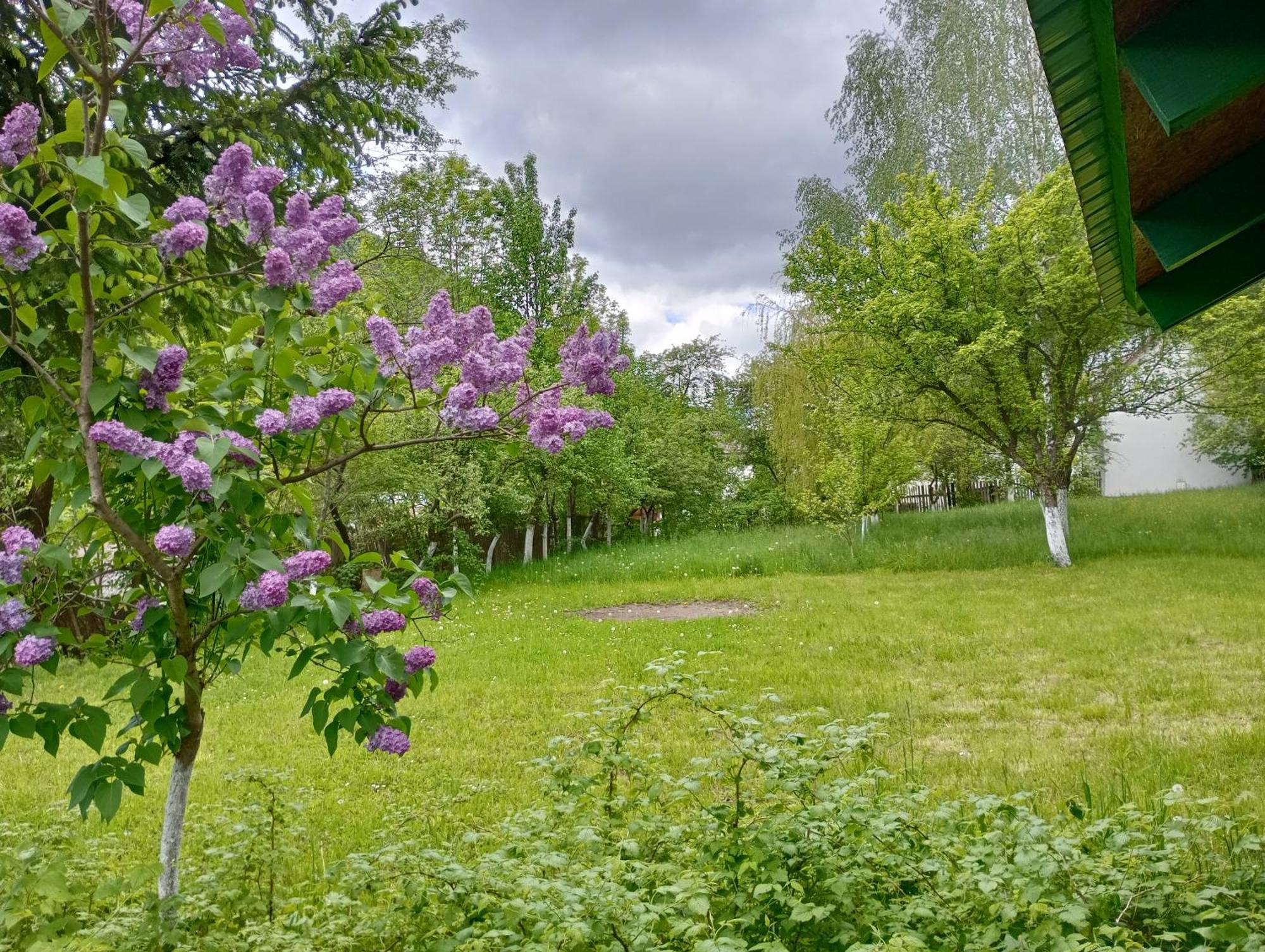 Pensiunea Irina 1 Si 2 Zarnesti Exterior foto