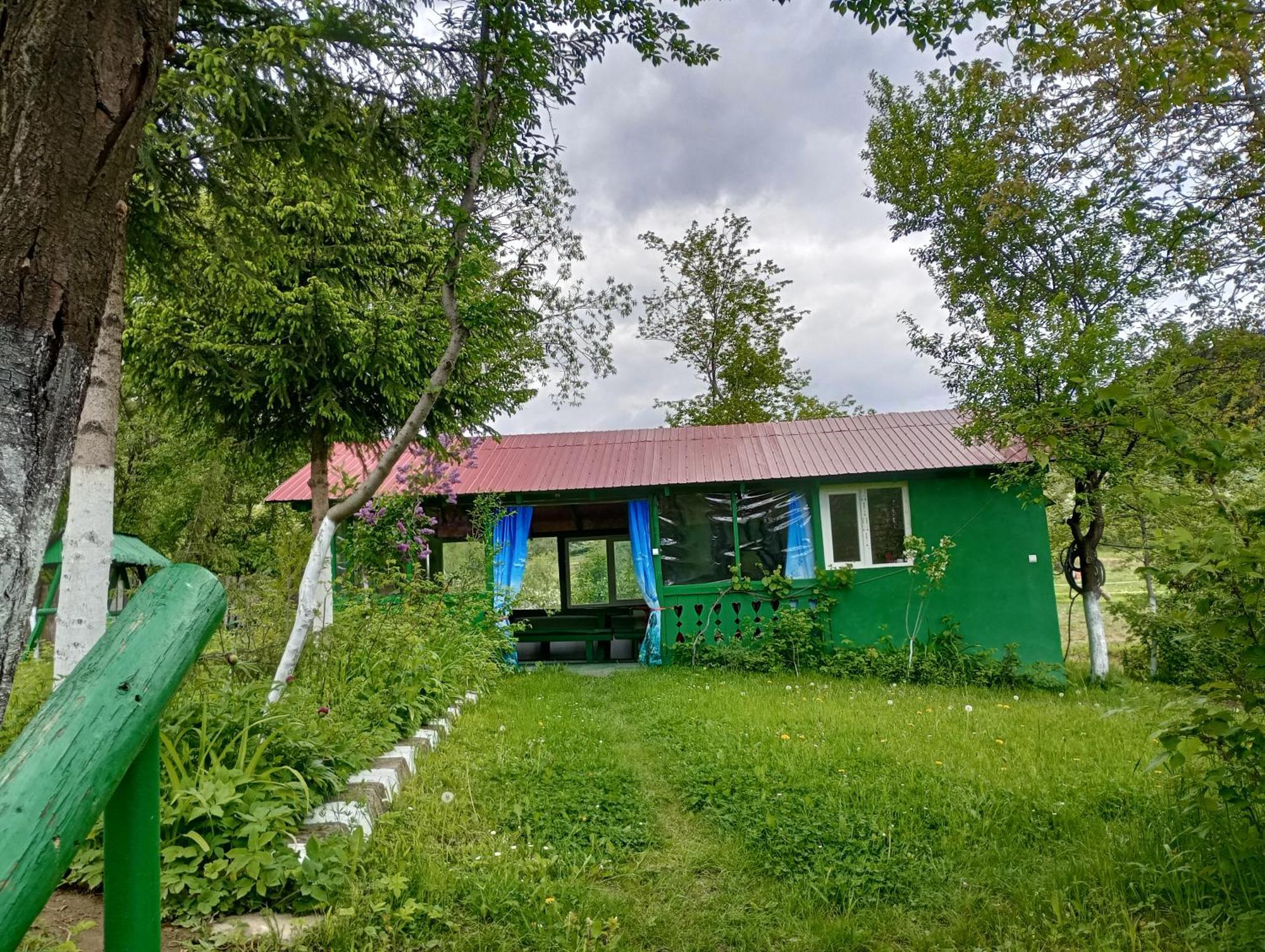 Pensiunea Irina 1 Si 2 Zarnesti Exterior foto