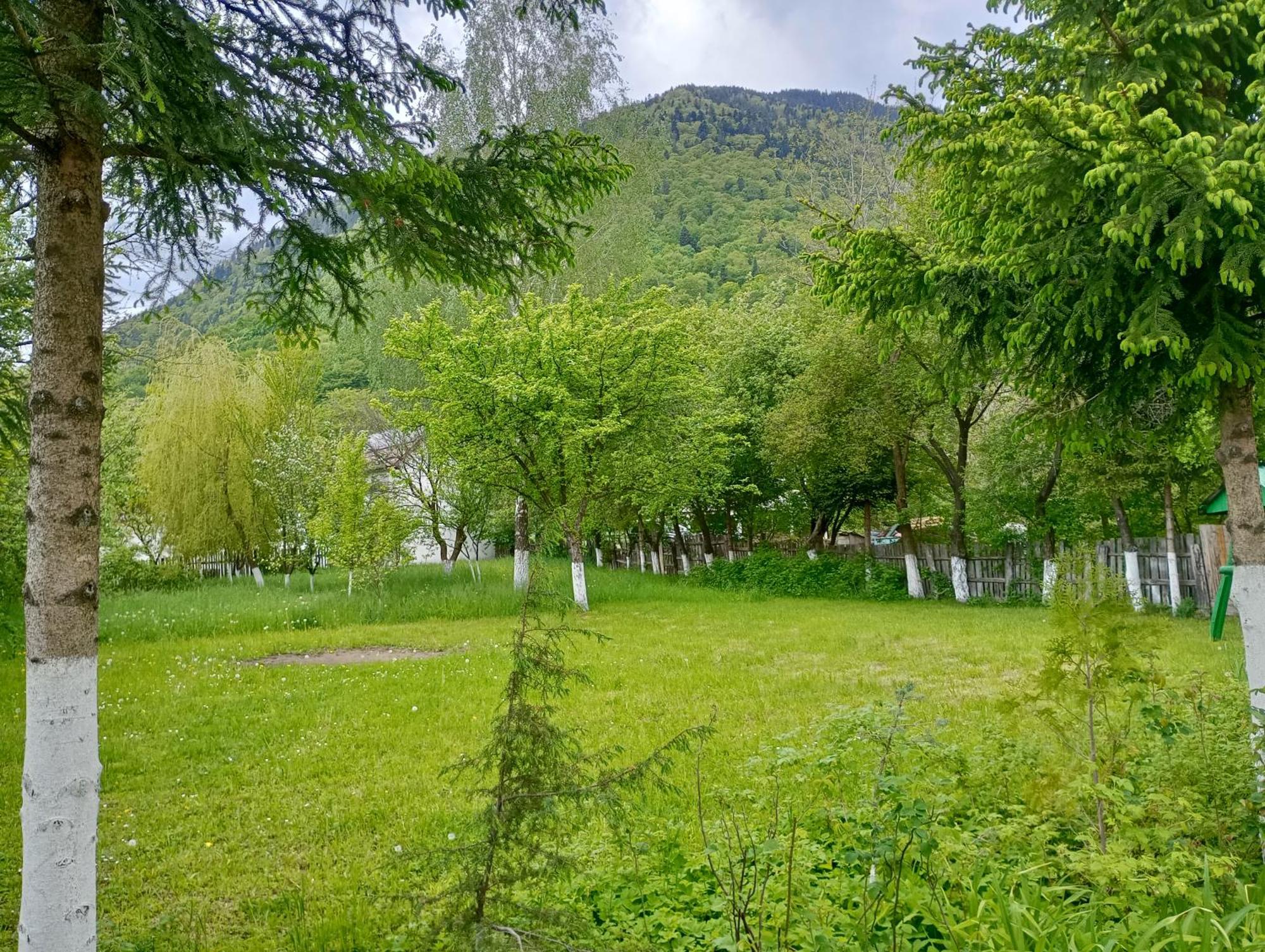 Pensiunea Irina 1 Si 2 Zarnesti Exterior foto